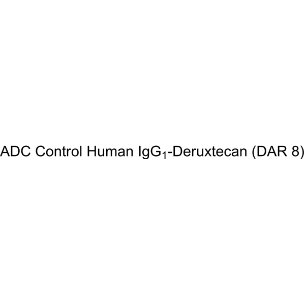 ADC Control Human IgG1-Deruxtecan (DAR 8)